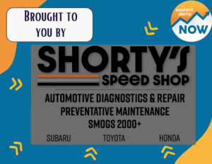 BTB Shortys