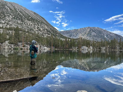 eastern sierra fly fishing golden trout guiding