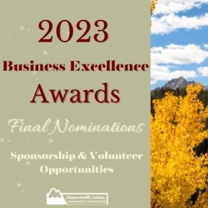 business excellence awards