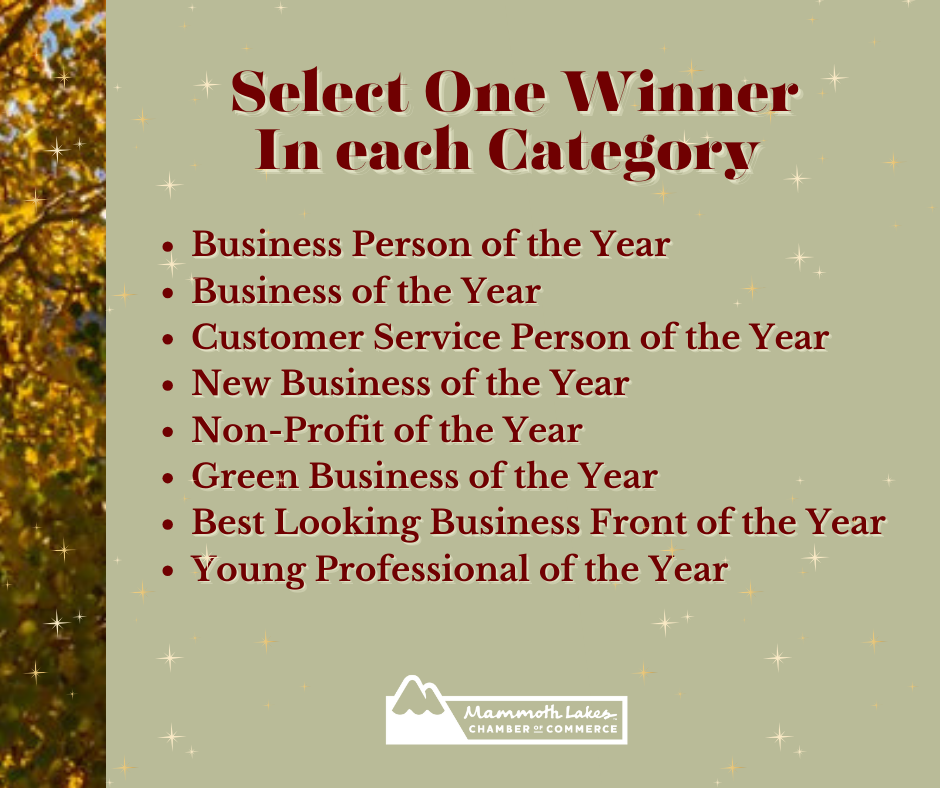 business excellence