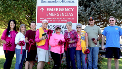 northern inyo healthcare district nihd community pink day