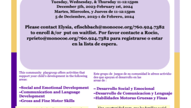 Early Start Bilingual Playgroups