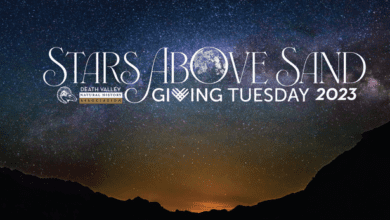dvnha giving tuesday stars above sand