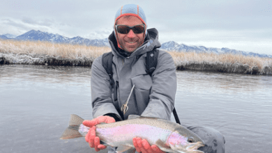 Golden Trout Guiding Co. Eastern Sierra Fly Fishing Report - December 5 3 golden trout eastern sierra fishing