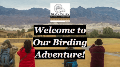birding adventure dvnha