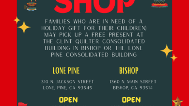 holiday toy shop