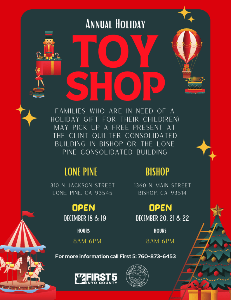 holiday toy shop
