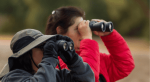 birding dvnha