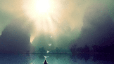 trust your inner guidance
