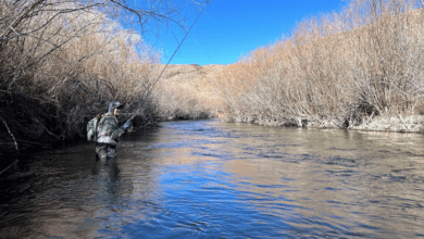 golden trout guiding co