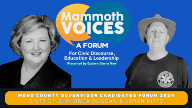 Catch up with Mammoth Voices on YouTube 6 mammoth voices