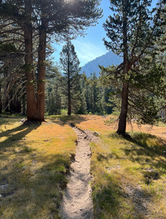 Golden Trout Guiding Co. - 2024 Golden Trout Trip 2 golden trout guiding