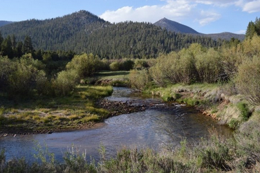 Golden Trout Guiding Co. - 2024 Golden Trout Trip 5 golden trout guiding