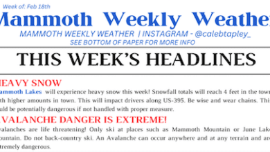 mammoth weekly weather