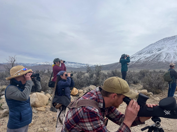 Facing a Downward Trend, Round Valley Mule Deer Get Boost from Public Support at Eastern Sierra Land Trust Field Trip 4 eastern sierra land trust