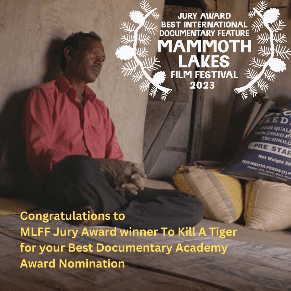 mammoth lakes film festival