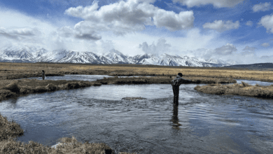 golden trout guiding co