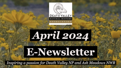 death valley natural history association