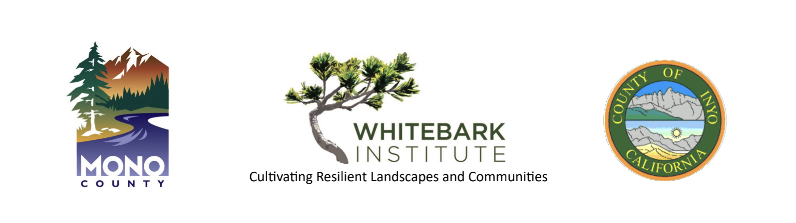 Wildfire Ready Festival: A Regional Invite to Ignite Connection 1 wildfire resilience week
