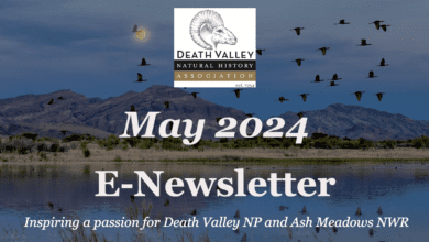 Death Valley Natural History Association May E-Newsletter 7 death valley natural history association
