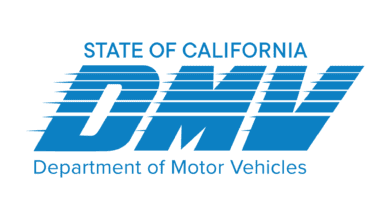DMV Logo