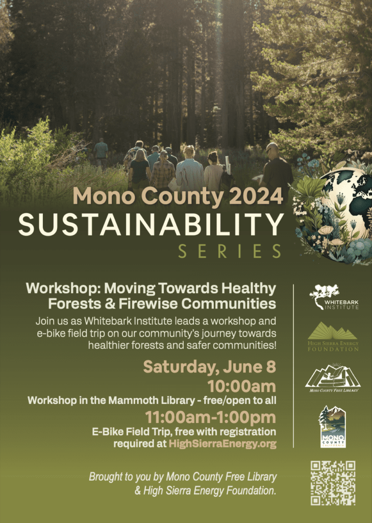 mono county sustainability series firewise forest