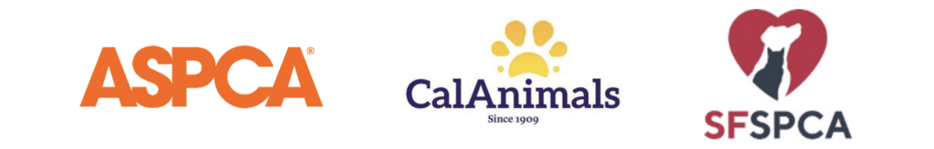 First-Ever California Adopt-a-Pet Day Finds Homes for 3,609 Pets, Nearly Doubles Goal 1 california adopt-a-pet day