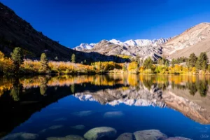 Spotlight On: Bob Ortega and THINKOUTSIDEIMAGES 3 thinkoutsideimages