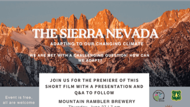 inyo national forest