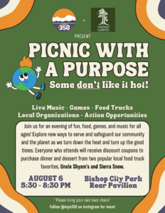 picnic with a purpose