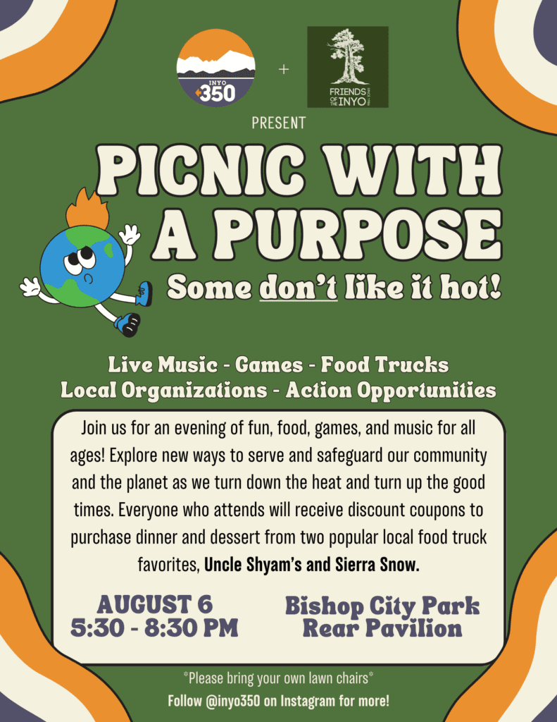 picnic with a purpose
