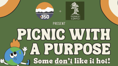 picnic with a purpose