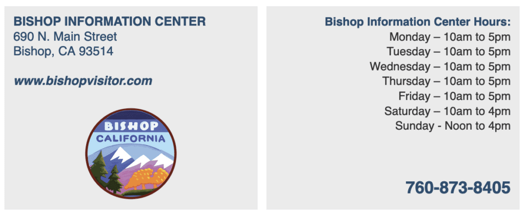 bishop