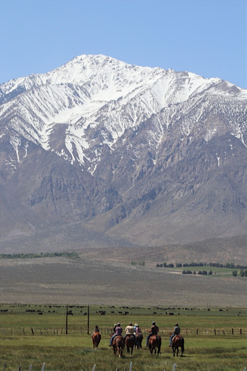 round valley round-up