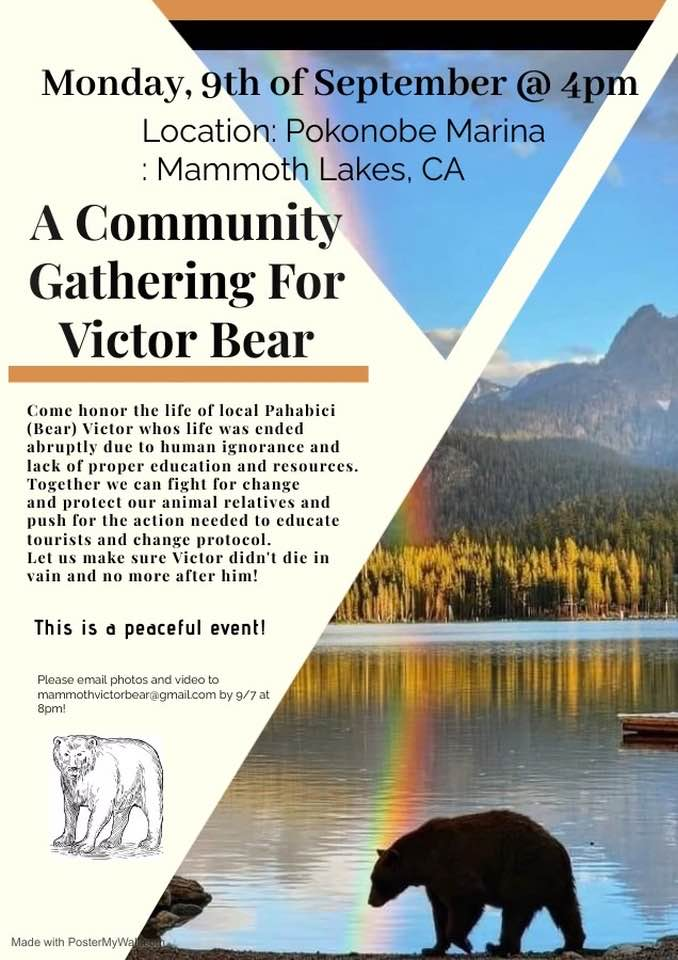 Community Gathering for Victor the Bear 1 victor bear