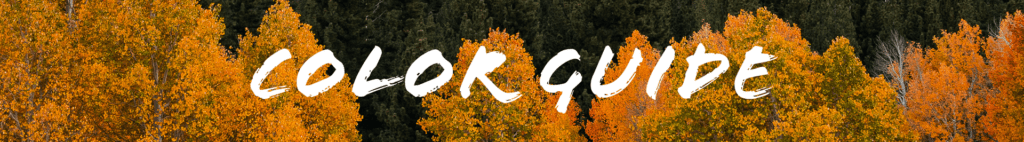 fall colors