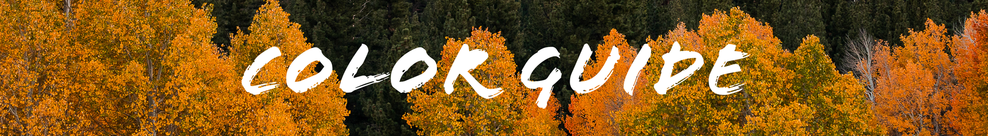 Magic in the Mountains 7 fall colors