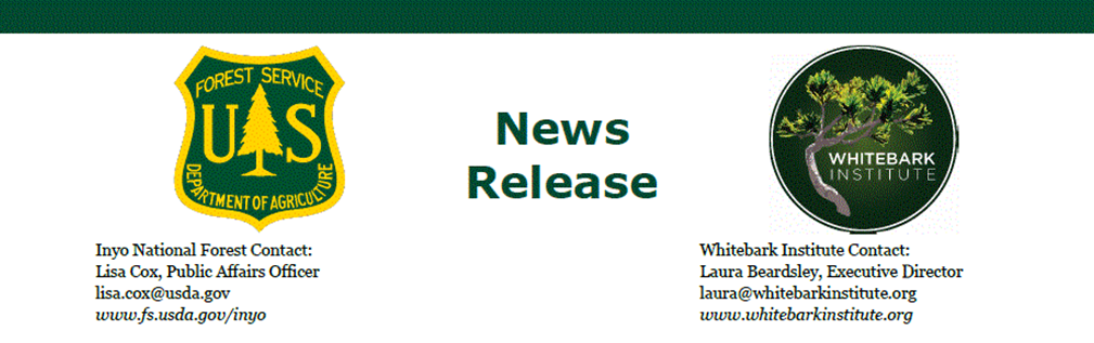 Funding awarded to enhance forest health and community resilience in the Eastern Sierra 1 eastern sierra inyo national forest whitebark institute