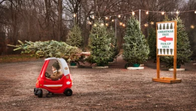 MHS Boosters Club Christmas Tree Lot Opens Saturday, November 30 5 mammoth mhs tree lot