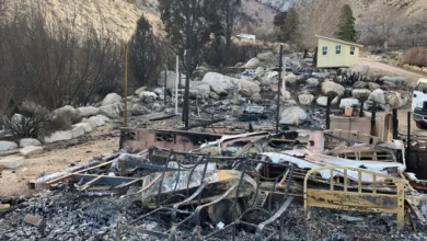 murray horseshoe fire