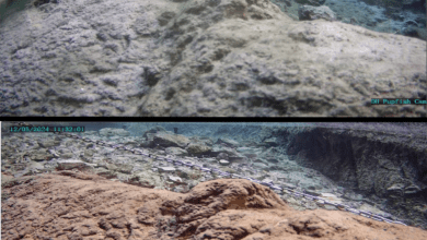 devils hole earthquake