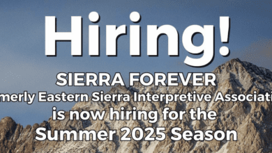 sierra forever