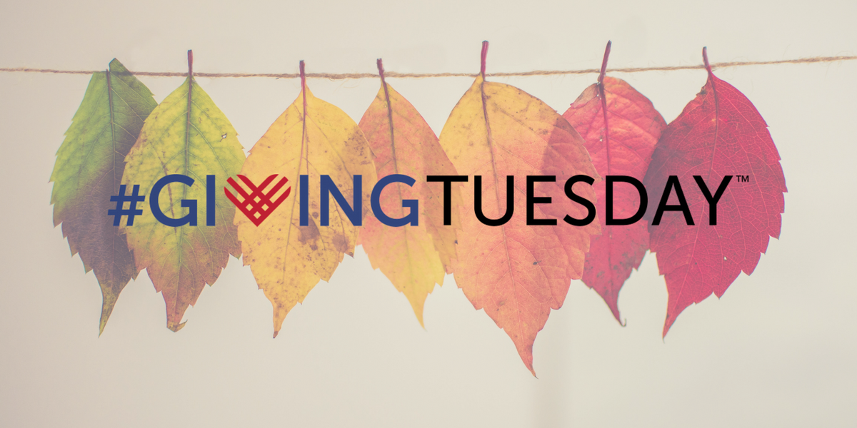 mono arts council giving tuesday