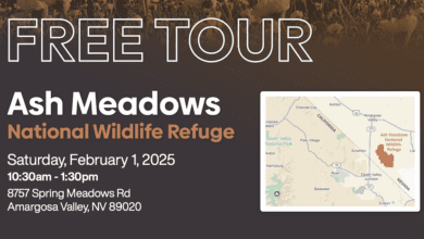Ash Meadows National Wildlife Refuge