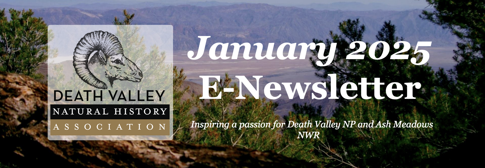 Death Valley Natural History Association January e-Newsletter 1 death valley natural history association
