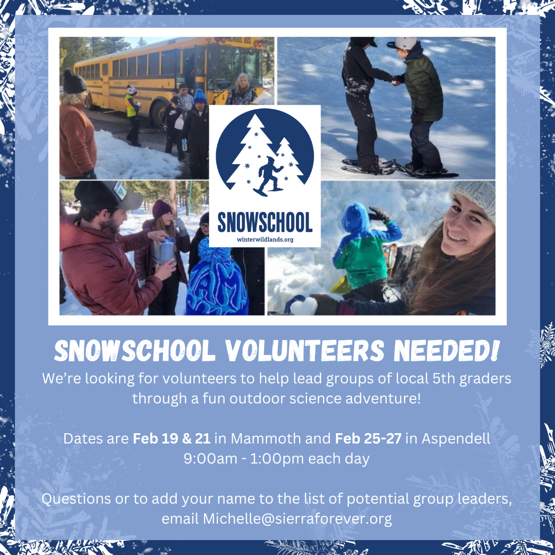snowschool