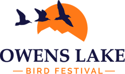 owens lake bird festival friends of the inyo