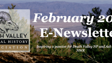 death valley natural history association