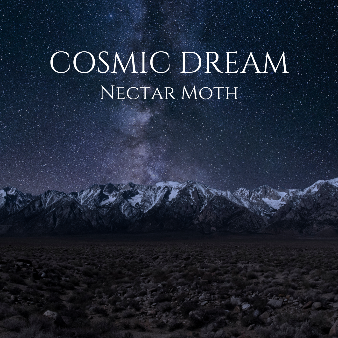 nectar moth cosmic dream