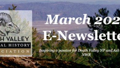 Death Valley Natural History Association March E-Newsletter 37 death valley natural history association
